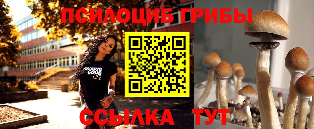 МЕФ  Гашиш  Меф МЯУ МЯУ   Новочеркасск  ГАШИШ  Вход с VPN  Конопля 