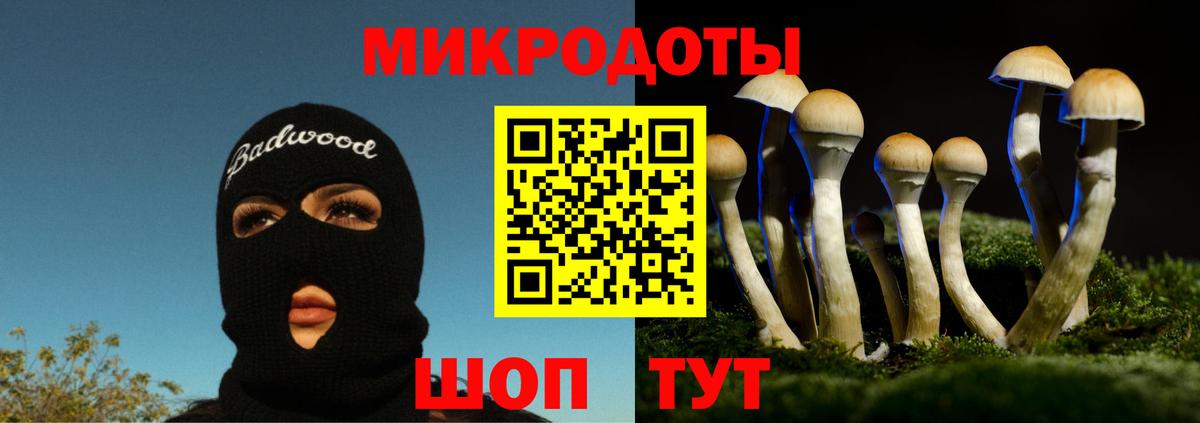 Галлюциногенные грибы мухоморы Новочеркасск